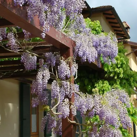 Lägenhet Casa Ai Pini