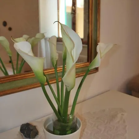 Lägenhet Casa Ai Pini Panzano in Chianti