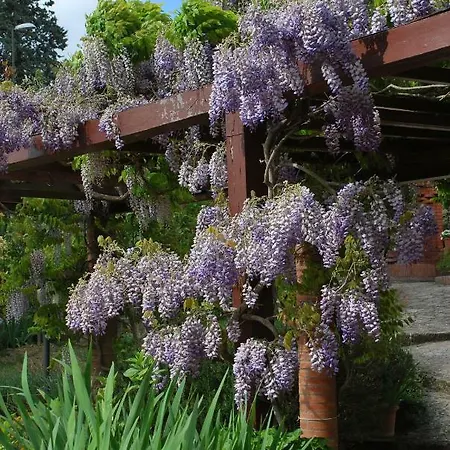 Casa Ai Pini Lägenhet Panzano in Chianti